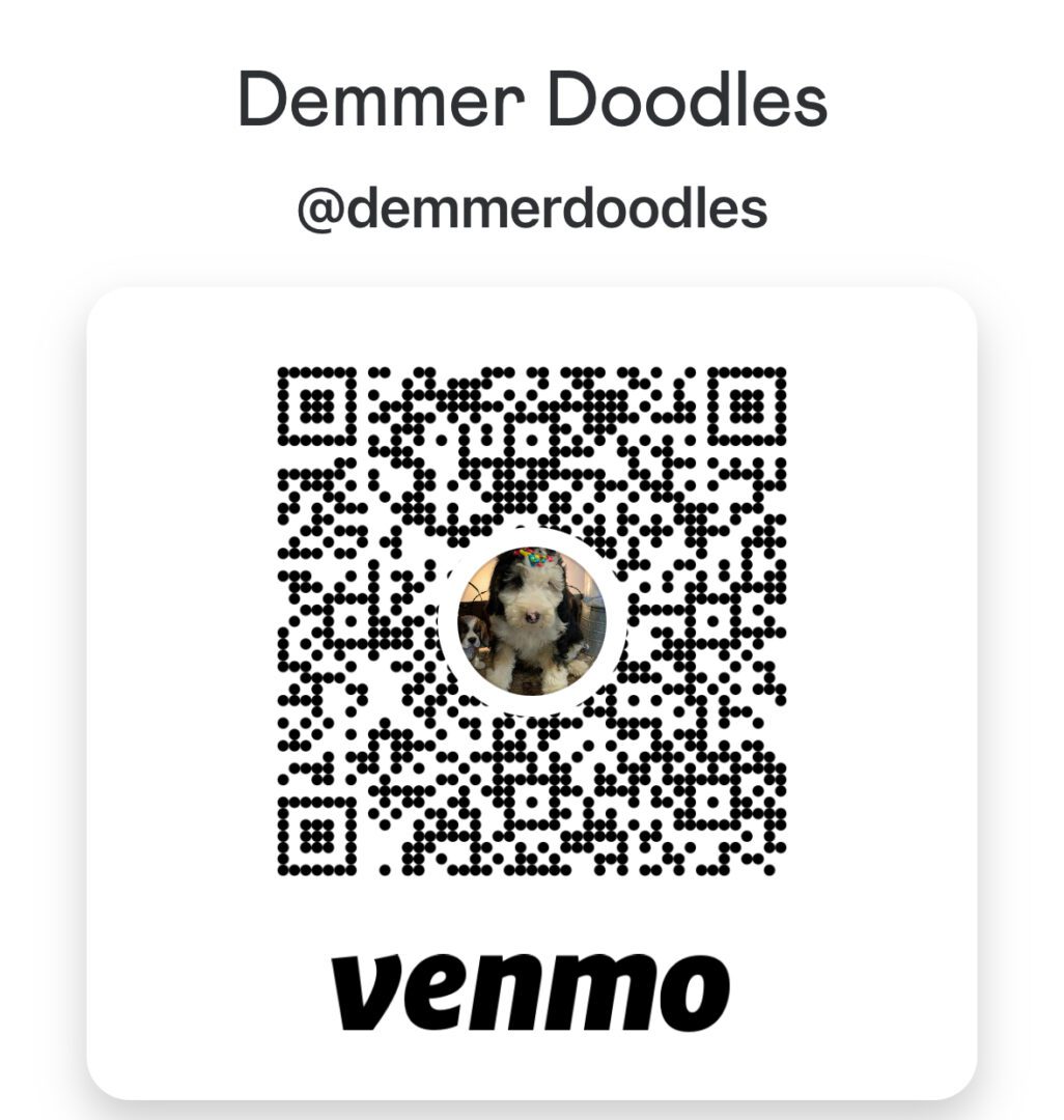 venmo Demmer Doodles