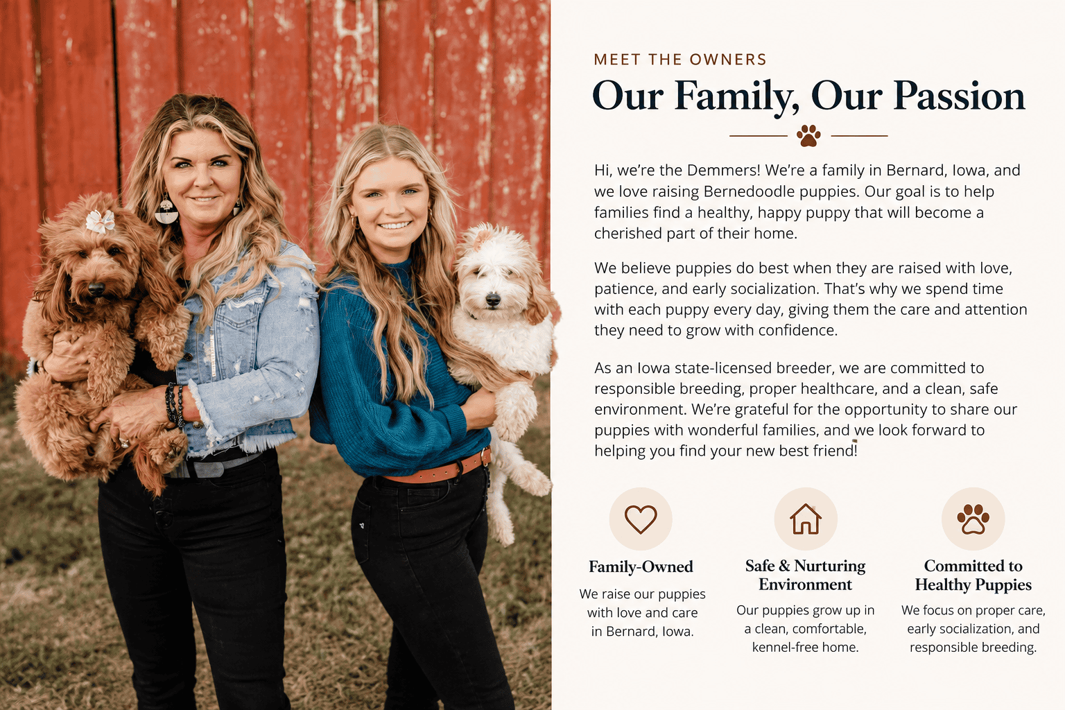 demmer-doodles-family-bernedoodle-breeder-iowa.webp